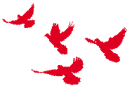 WDCMςDƬ