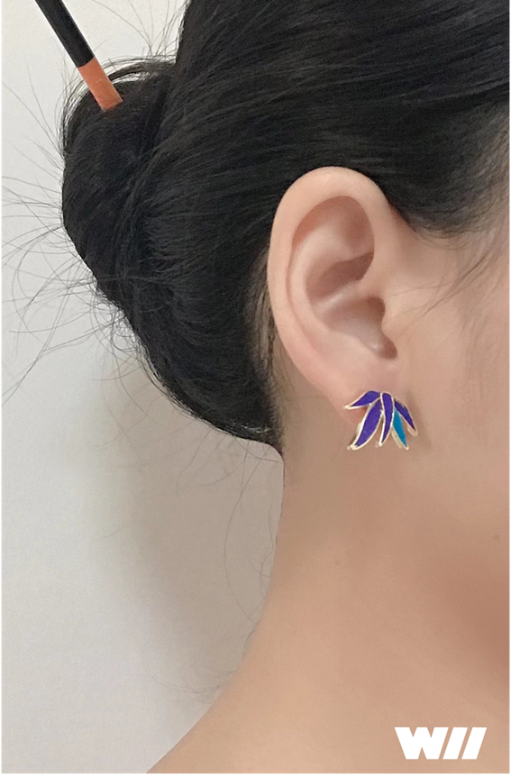 DƬ