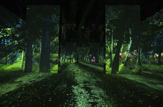 f: E:\2024깤/Rչ/ӰL/111ýwӴ/þLýwزİ1102/þL/DƬ/Forest-min.jpg